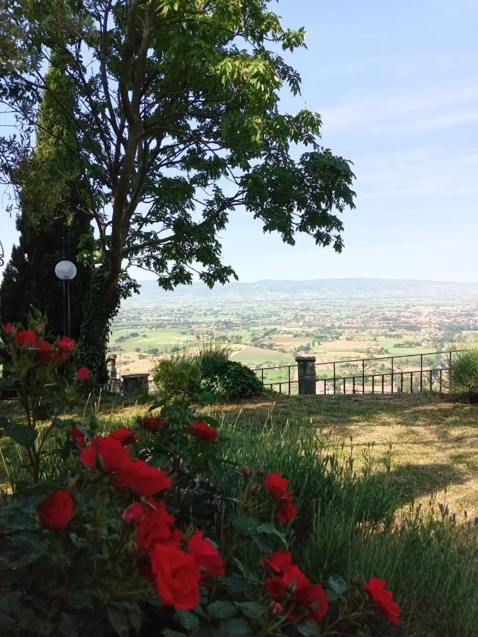 Residenza Messer Pajola Assisi Kültér fotó