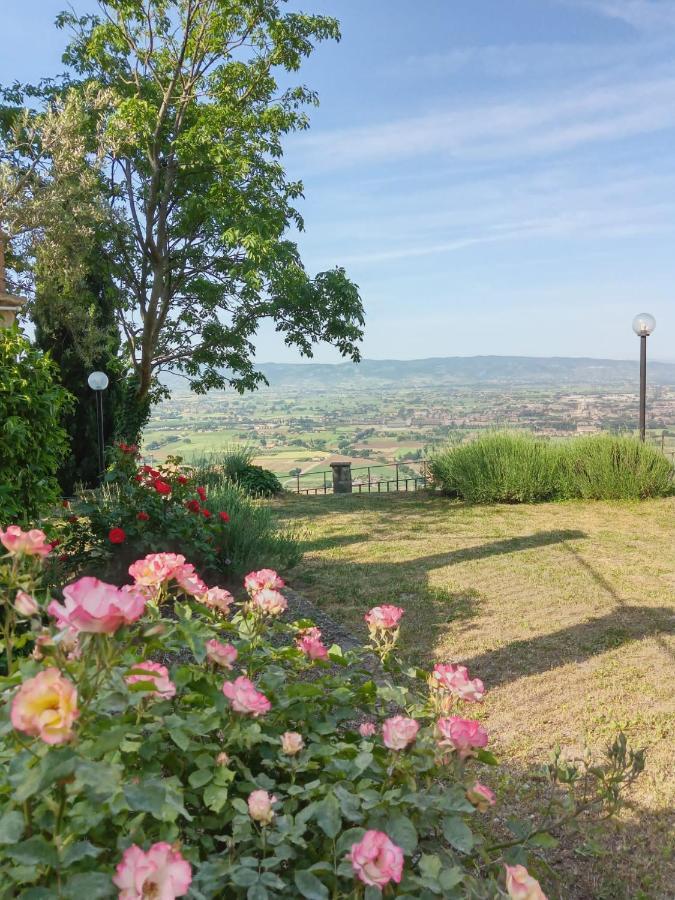Residenza Messer Pajola Assisi Kültér fotó