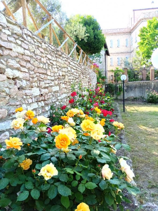 Residenza Messer Pajola Assisi Kültér fotó
