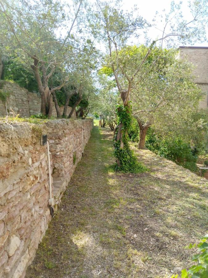 Residenza Messer Pajola Assisi Kültér fotó
